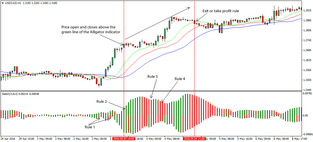 Gator Oscillator By Bill Williams Forex Strategy
