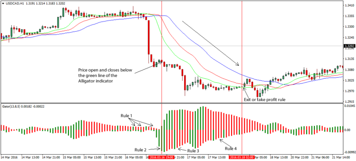 Gator Oscillator by Bill Williams Forex Strategy